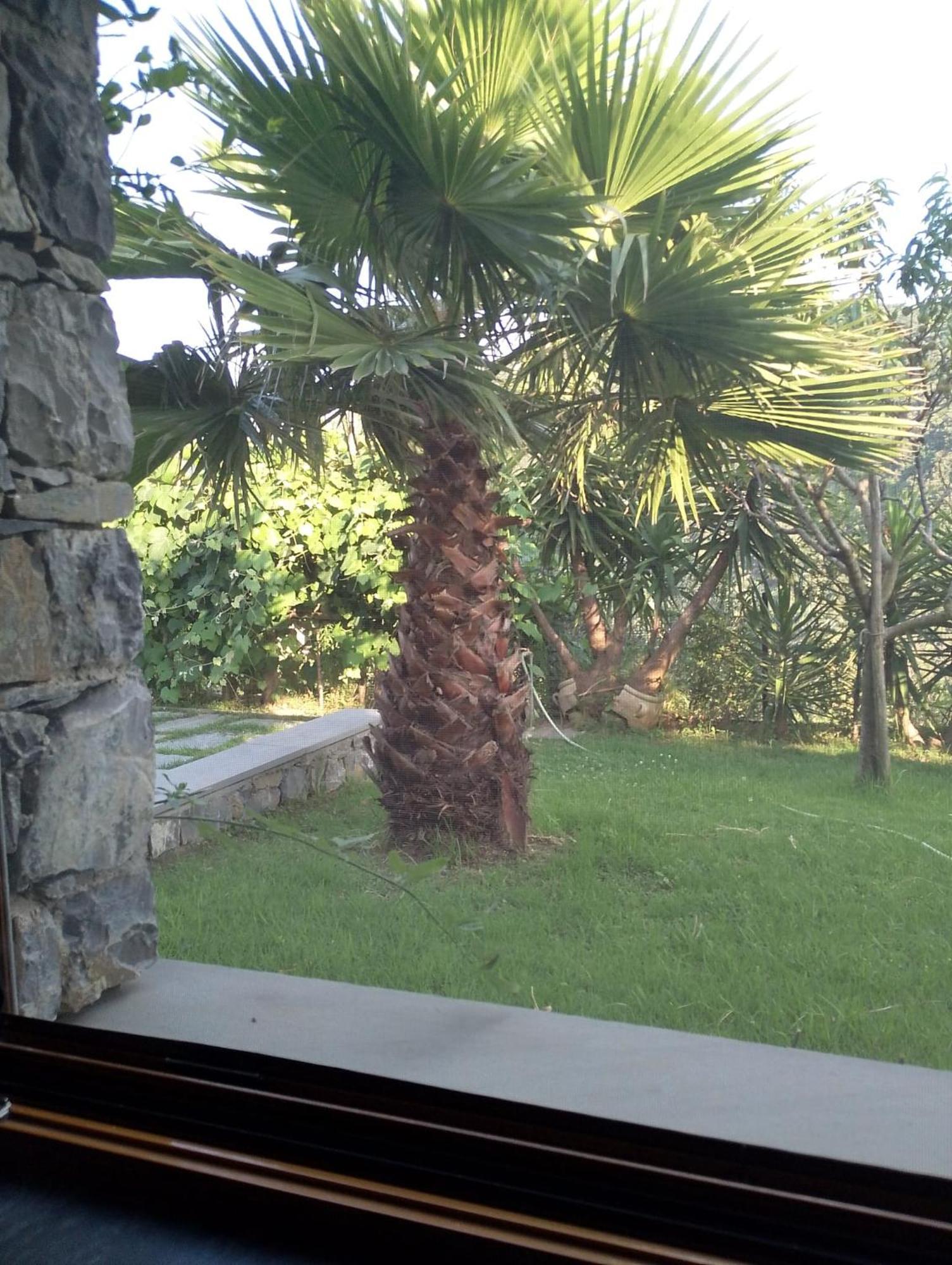 La casa di Sassolino Casarza Ligure Esterno foto
