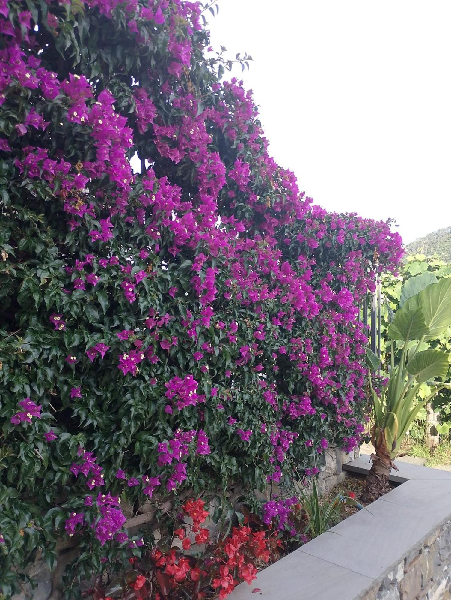 La casa di Sassolino Casarza Ligure Esterno foto